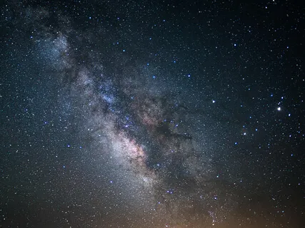 Evening Crickets & Live Bowls