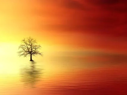 Evening Ease: Letting Go
