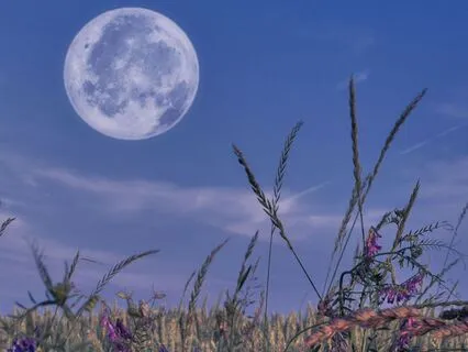 Evening EFT: Let Go Of Worries & Sleep Better