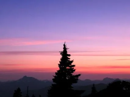 Evening Energy Clearing - Let Go Of Your Day