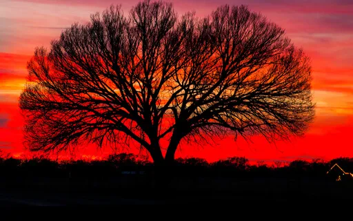 Evening Examen (Revised 2022)