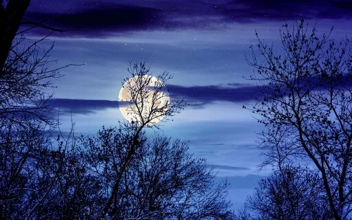 Evening Full Body Blessing For Wellbeing And Sleep - 7 Min