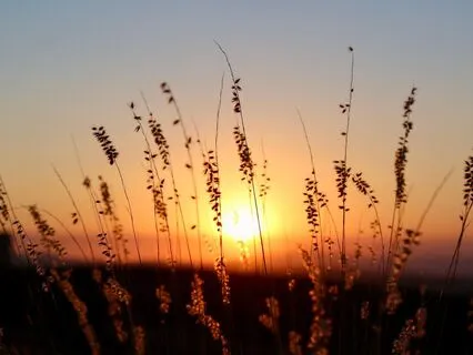 Evening Gratitude | 528Hz Meditation For Inner Peace