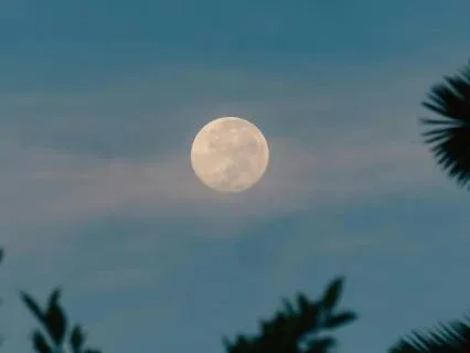 Evening Gratitude (8 Hour Sleep Meditation)