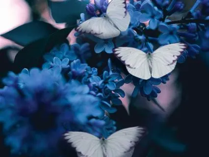 Evening Gratitude: A Manifesting Prayer