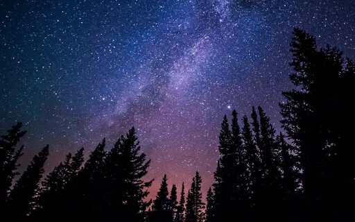 Evening Gratitude And Relaxation Practice