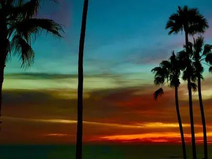 Evening Gratitude Before Sleep