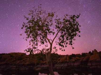 Evening Gratitude Meditation