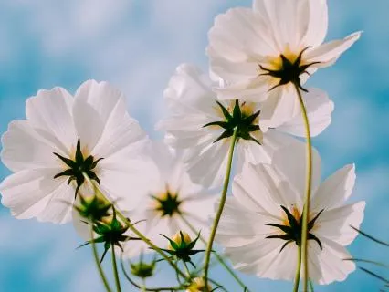 Evening Gratitude Practice