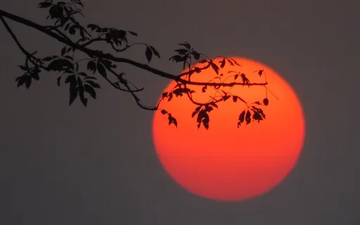 Evening Gratitude Reflection For Sleep