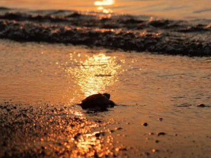 Evening Gratitude Reflection To Close The Day