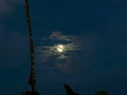 Evening Gratitude Reflection To Find Meaning In The Ordinary