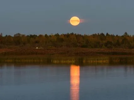 Evening Gratitude Reflection