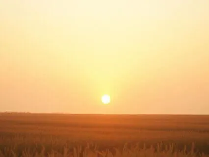 Evening Gratitude Reflections – Peaceful Closure