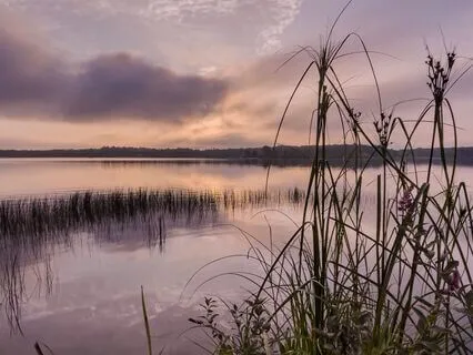 Evening Gratitude Sleep Meditation