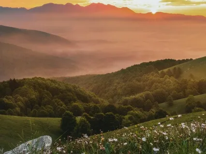 Evening In The Meadow