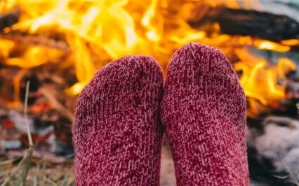 Evening Journal Reflection Prompt