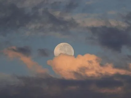 Evening Manifestation Ritual