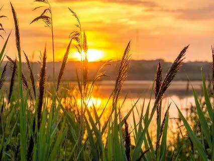 Evening Meditation (Extended)