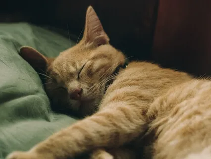 Evening Meditation For Inner Peace & Deep Sleep