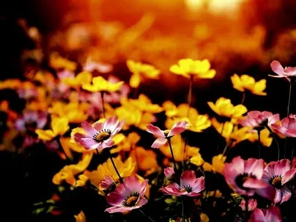 Evening Meditation For Spiritual Awakening