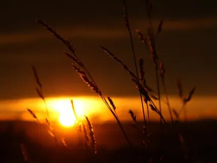 Evening Meditation For The Present Moment - I Am Here