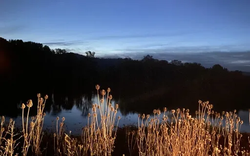 Evening Meditation: Release The Day