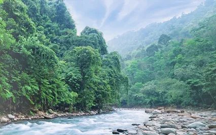 Evening Meditation Stream