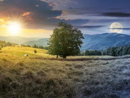 Evening Meditation To Approach Sleep