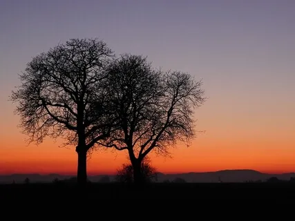 Evening Meditation - What We Feel We Heal