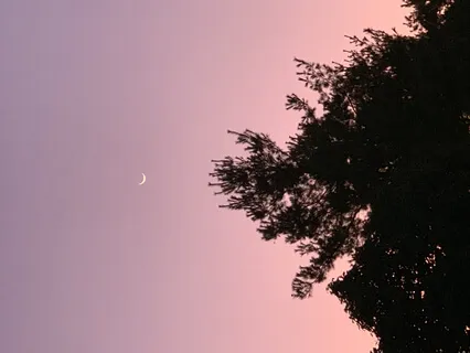 Evening Mindfulness  - 9 Min Daily Insight