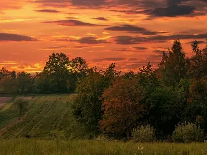 Evening Mist Serenity