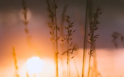 Evening Prayer For Spiritual Entrepreneurs 