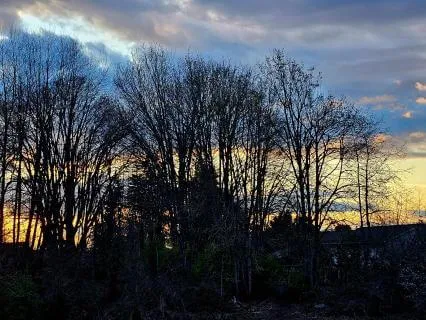 Evening Quiet Meditation