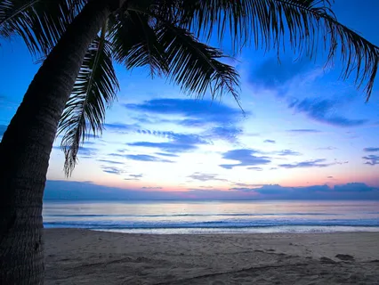 Evening Recharge - Calm Relaxing Ambient Nature Sounds