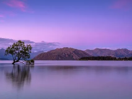 Evening Reflective Practice: Gratitude, Lessons & Letting Go