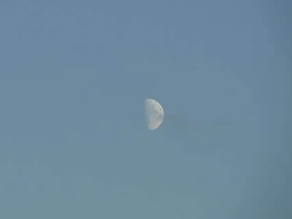 Evening Relaxation - Reiki Chakra Alignment (No Music)