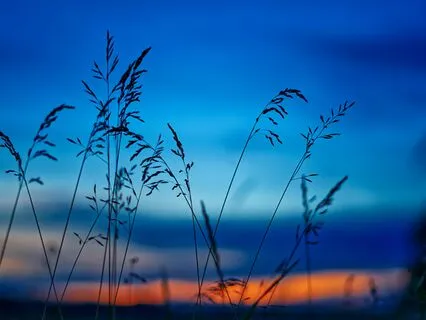 Evening Relaxation Spa Ambient Music