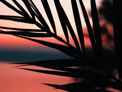 Evening Retreat Sound Journey