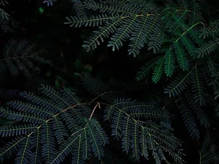 Evening Ritual For Restful Sleep