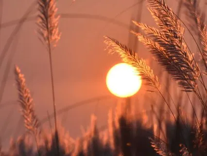 Evening Stillness – A Gentle Space For Heartfelt Calm