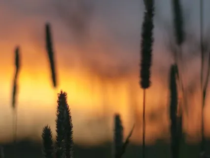 Evening Unwind: Let Go Of The Day