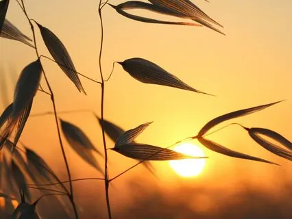 Evening Warmth – A Gentle Space For Heartfelt Calm