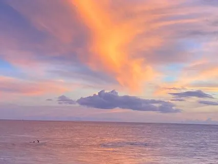 Evening Waves and Tropical Birdies