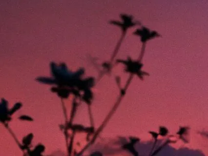 Evening Wind Down: Breathe & Let Go