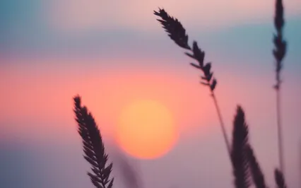 Evening Wind Down Meditation