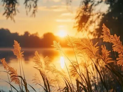 Evening Wind-Down Meditation