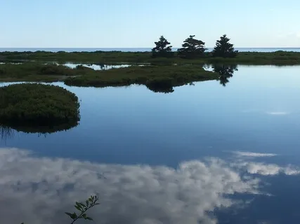 Ever Pure, Ever Wise, Ever Free Awareness Practice