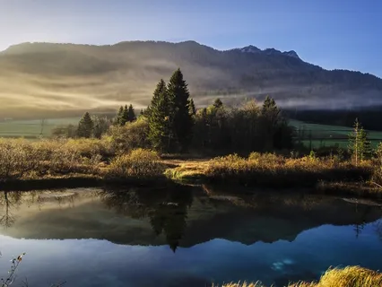 Ever There, Gentle Harp and Viola Music