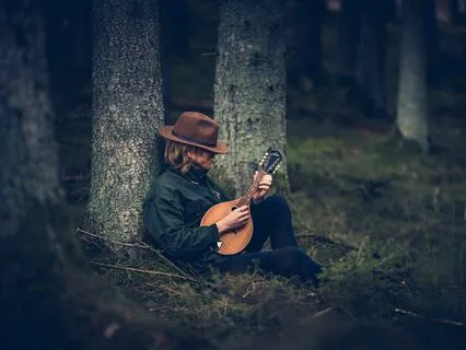 Evergreen Sound Journey